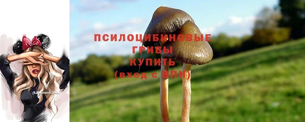 герыч Карпинск
