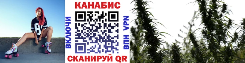 Бошки марихуана индика ссылка на мегу маркетплейс Светлогорск купить наркотики сайты